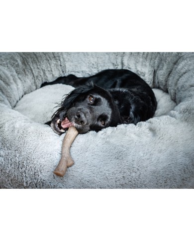 Giocattolo da mordere per cani Nylabone Marrone Burro Di Arachidi XL