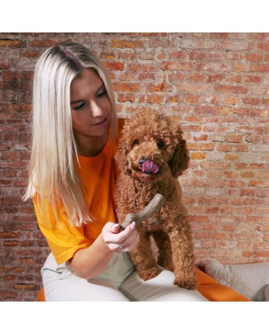 Giocattolo da mordere per cani Nylabone Marrone Burro Di Arachidi M Giocattolo da mordere per cani Nylabone Marrone Burro Di Arachidi M