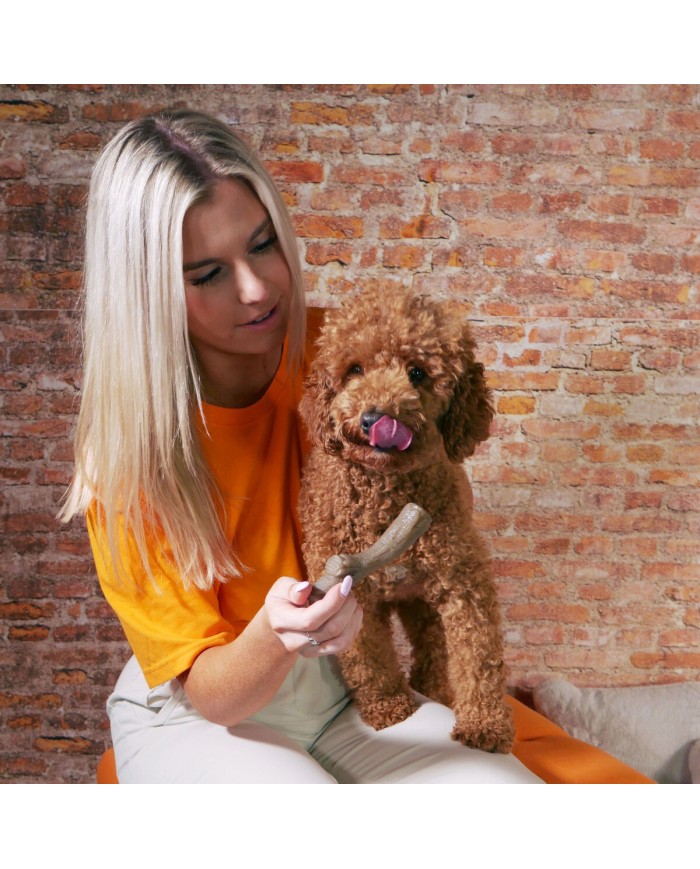 Giocattolo da mordere per cani Nylabone Marrone Burro Di Arachidi M Giocattolo da mordere per cani Nylabone Marrone Burro Di Arachidi M