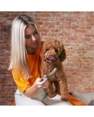 Giocattolo da mordere per cani Nylabone Marrone Burro Di Arachidi M Giocattolo da mordere per cani Nylabone Marrone Burro Di Arachidi M