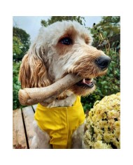 Giocattolo da mordere per cani Nylabone Marrone Burro Di Arachidi M Giocattolo da mordere per cani Nylabone Marrone Burro Di Arachidi M