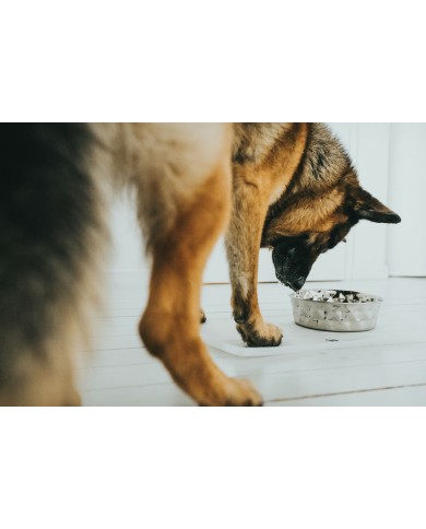 Ciotola per cani Hunter Silicone Acciaio inossidabile 1,05 L Ciotola per cani Hunter Silicone Acciaio inossidabile 1,05 L