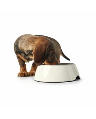 Ciotola per cani Hunter Nero 1,4 L Melammina