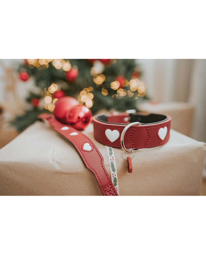 Collare per Cani Hunter Love S/M 35-43 cm Rosso Collare per Cani Hunter Love S/M 35-43 cm Rosso