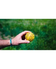 Lancia Palline per Cani Hunter