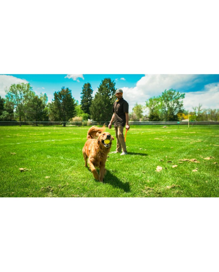 Lancia Palline per Cani Hunter