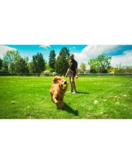 Lancia Palline per Cani Hunter