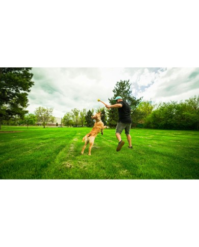 Lancia Palline per Cani Hunter