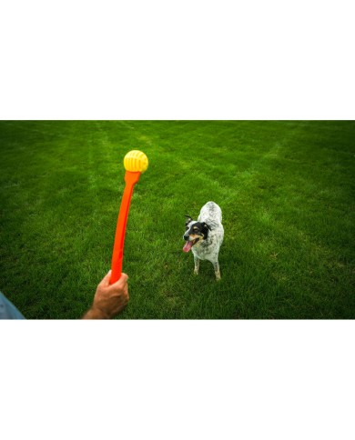 Lancia Palline per Cani Hunter