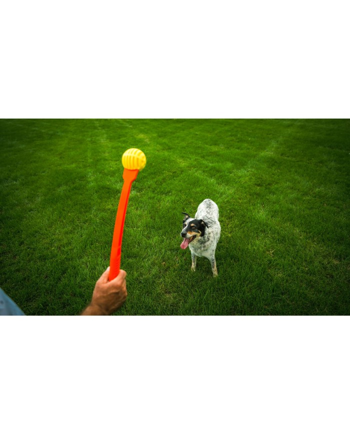 Lancia Palline per Cani Hunter