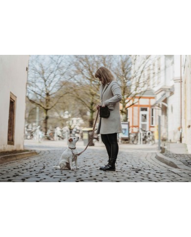 Collare per Cani Hunter Inari Beige M 30-45 cm