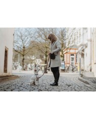 Collare per Cani Hunter Inari Beige M 30-45 cm