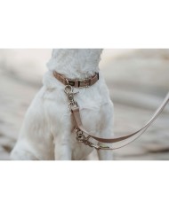 Collare per Cani Hunter Inari Beige M 30-45 cm