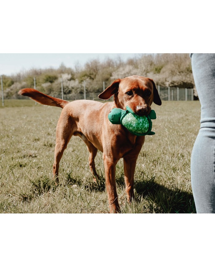 Giocattoli per cani Hunter