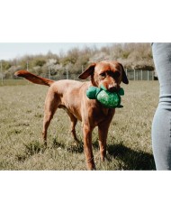 Giocattoli per cani Hunter