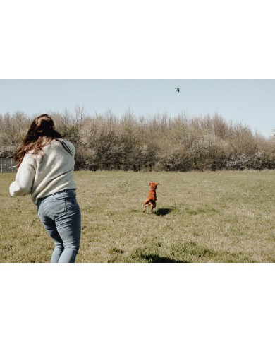 Giocattoli per cani Hunter