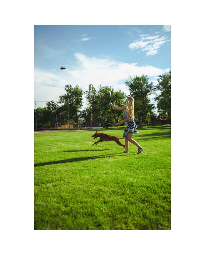 Giocattoli per cani Hunter