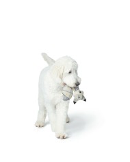 Peluche per cani Hunter Beige 100 % Riciclato Volpe Peluche per cani Hunter Beige 100 % Riciclato Volpe