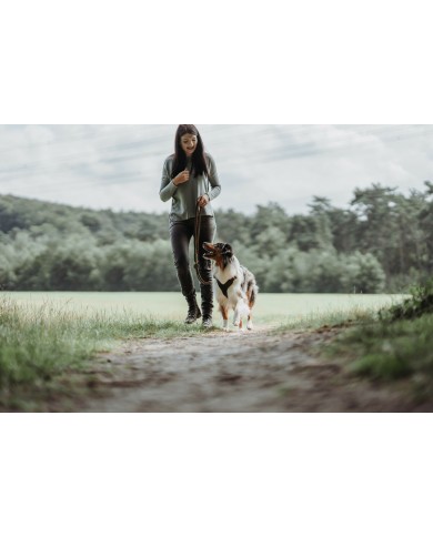 Guinzaglio per Cani Hunter Marrone 2 m Regolabile Pelle