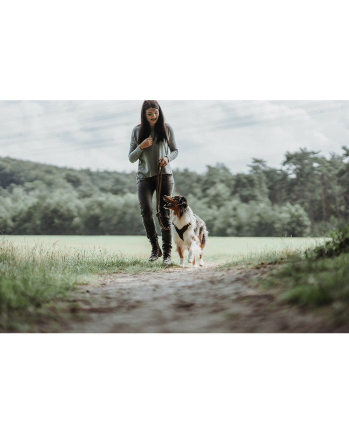 Guinzaglio per Cani Hunter Marrone 2 m Regolabile Pelle