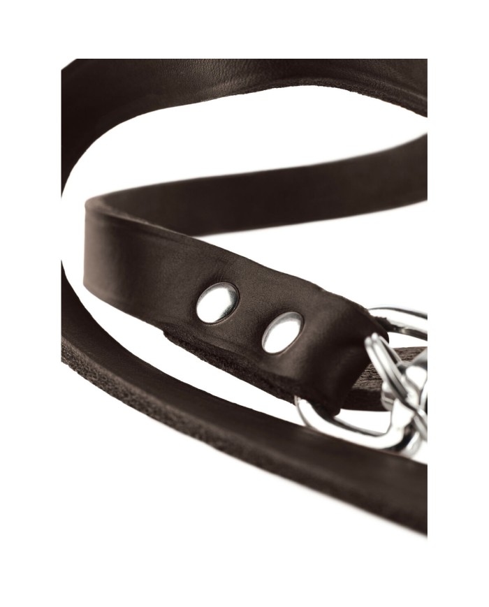 Guinzaglio per Cani Hunter Marrone 2 m Regolabile Pelle