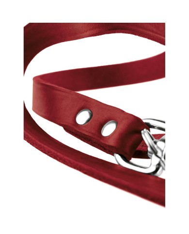 Guinzaglio per Cani Hunter Rosso 2 m Regolabile Pelle