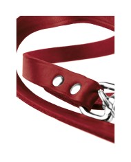 Guinzaglio per Cani Hunter Rosso 2 m Regolabile Pelle