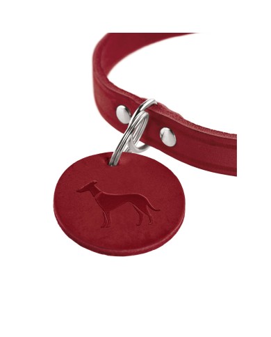 Collare per Cani Hunter Aalborg Rosso S 32-38 cm