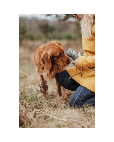 Peluche per cani Hunter Grigio 100 % Riciclato Orso