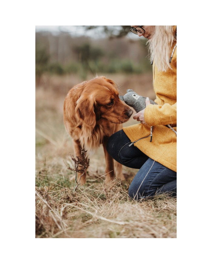 Peluche per cani Hunter Grigio 100 % Riciclato Orso