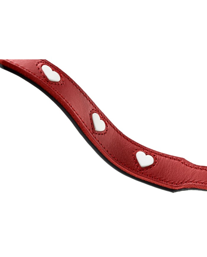 Guinzaglio per Cani Hunter Rosso 2 m Regolabile