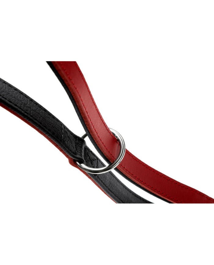 Guinzaglio per Cani Hunter Rosso 2 m Regolabile