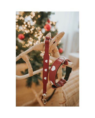 Guinzaglio per Cani Hunter Rosso 2 m Regolabile