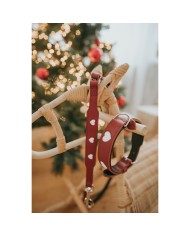 Guinzaglio per Cani Hunter Rosso 2 m Regolabile