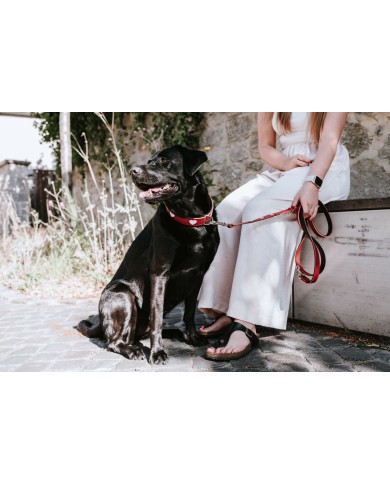 Guinzaglio per Cani Hunter Rosso 2 m Regolabile