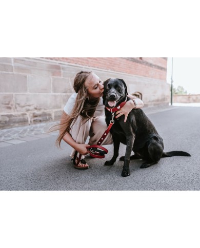 Guinzaglio per Cani Hunter Rosso 2 m Regolabile