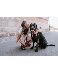 Guinzaglio per Cani Hunter Rosso 2 m Regolabile