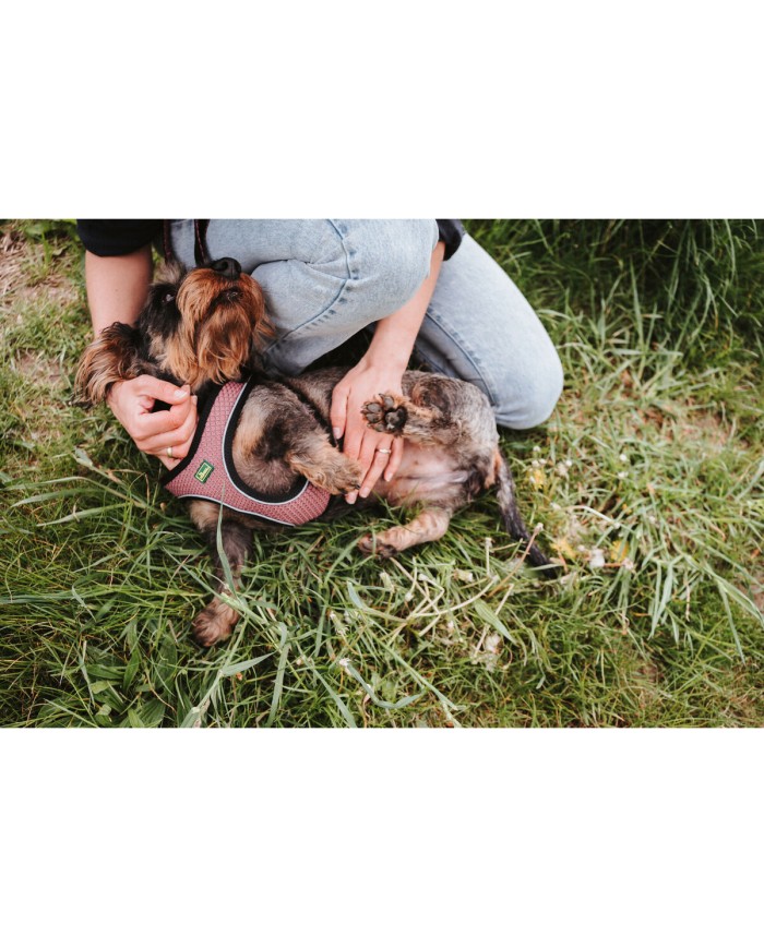 Imbracatura per Cani Hunter Comfort Rosa 30-35 cm Imbracatura per Cani Hunter Comfort Rosa 30-35 cm