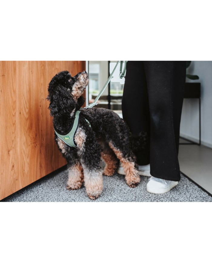 Imbracatura per Cani Hunter Comfort Rosa XXS 26-30 cm Imbracatura per Cani Hunter Comfort Rosa XXS 26-30 cm