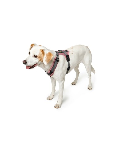 Imbracatura per Cani Hunter Maldon Up Rosa 57-98 cm