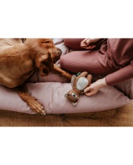 Peluche per cani Hunter Marrone 100 % Riciclato Orso Peluche per cani Hunter Marrone 100 % Riciclato Orso