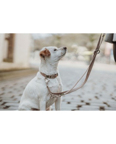 Guinzaglio per Cani Hunter Inari Beige 200 cm