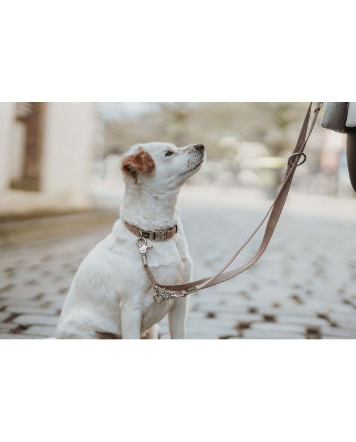 Guinzaglio per Cani Hunter Inari Beige 200 cm
