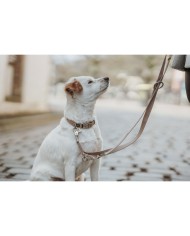 Guinzaglio per Cani Hunter Inari Beige 200 cm