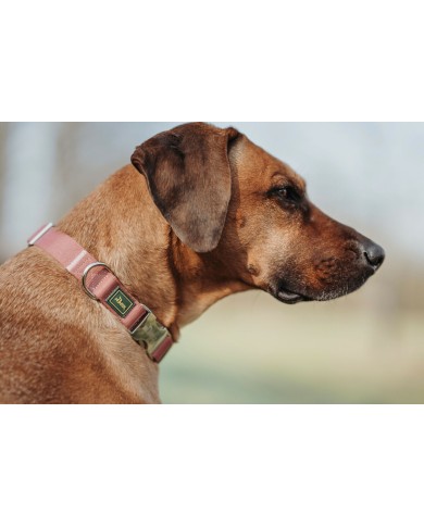 Collare per Cani Hunter Inari Rosso XL 45-65 cm