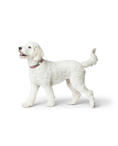 Collare per Cani Hunter Inari Rosso XL 45-65 cm