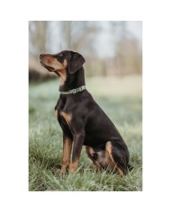 Collare per Cani Hunter Verde 45-65 cm