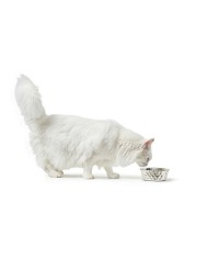 Ciotola per cani Hunter Silicone Acciaio inossidabile 2,6 L Ciotola per cani Hunter Silicone Acciaio inossidabile 2,6 L