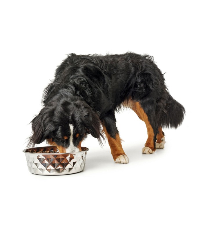 Ciotola per cani Hunter Silicone Acciaio inossidabile 2,6 L Ciotola per cani Hunter Silicone Acciaio inossidabile 2,6 L