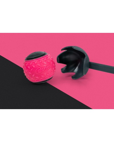 Lancia Palline per Cani Gloria